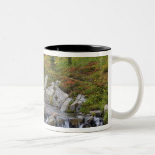 WA, Mt. Rainier Nationalpark, Edith Creek Zweifarbige Tasse
