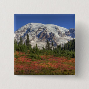WA, Mt. Rainier Nationalpark, Paradise Valley Button