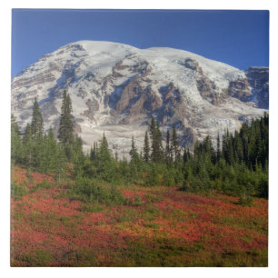 WA, Mt. Rainier Nationalpark, Paradise Valley Fliese