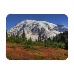 WA, Mt. Rainier Nationalpark, Paradise Valley Magnet