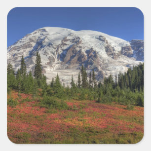 WA, Mt. Rainier Nationalpark, Paradise Valley Quadratischer Aufkleber