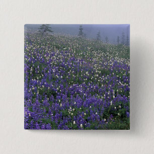 WA, Mt. Rainier NP, Lupinen- und Bistort-Wiese Button