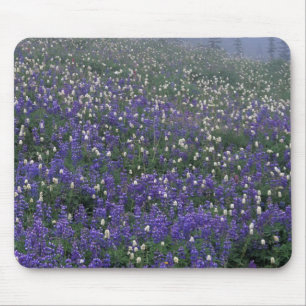 WA, Mt. Rainier NP, Lupinen- und Bistort-Wiese Mousepad