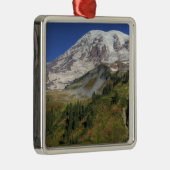 WA, Nationalpark Rainier, Aussicht vom Ornament Aus Metall (Rechts)