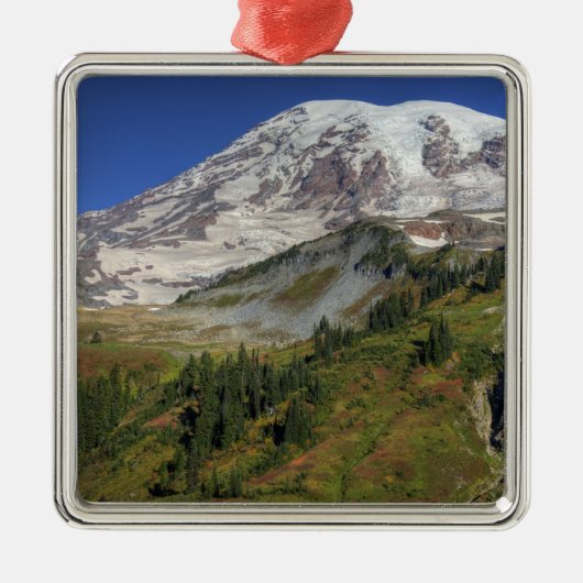 WA, Nationalpark Rainier, Aussicht vom Ornament Aus Metall (Vorne)