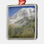 WA, Nationalpark Rainier, Aussicht vom Ornament Aus Metall (Links)