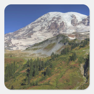 WA, Nationalpark Rainier, Aussicht vom Quadratischer Aufkleber