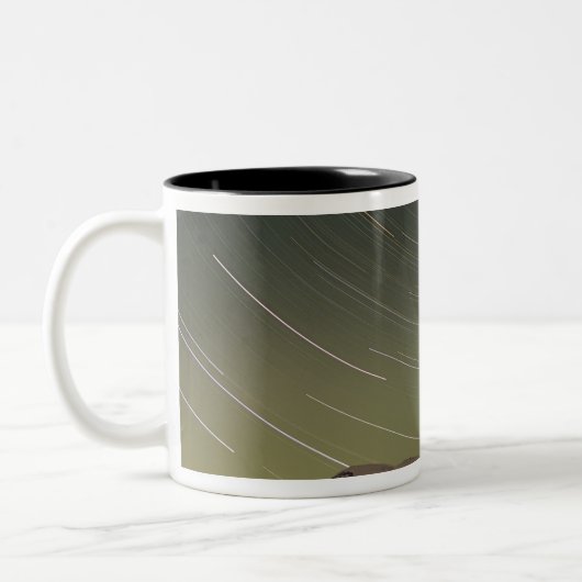WA, Nationalpark Rainier, Berg Rainier, Zweifarbige Tasse (Links)