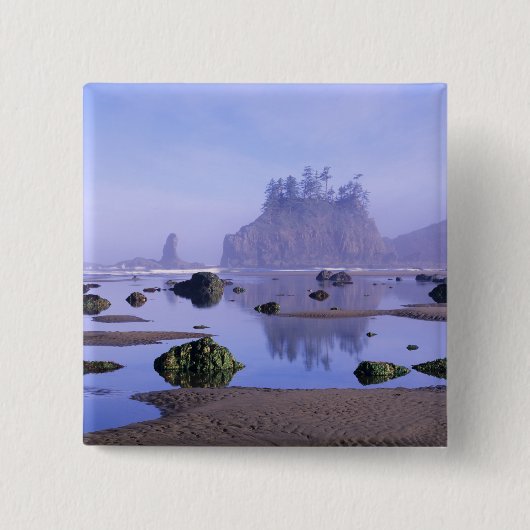 WA, Olympic National Park, Second Beach, Button (Vorderseite)
