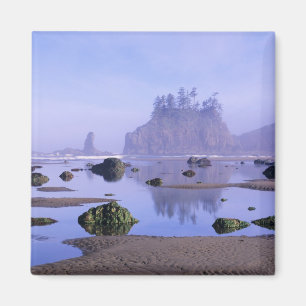 WA, Olympic National Park, Second Beach, Magnet