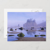 WA, Olympic National Park, Second Beach, Postkarte (Vorne/Hinten)