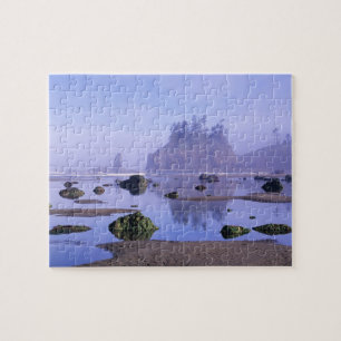 WA, Olympic National Park, Second Beach, Puzzle