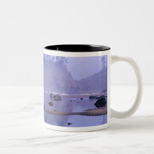 WA, Olympic National Park, Second Beach, Zweifarbige Tasse (Rechts)