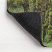 WA, Olympic NP, Hoh Rain Forest, Hall of Fame Mousepad (Ecke)
