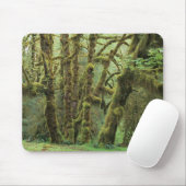 WA, Olympic NP, Hoh Rain Forest, Hall of Fame Mousepad (Mit Mouse)