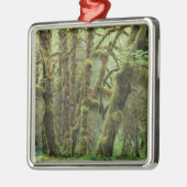 WA, Olympic NP, Hoh Rain Forest, Hall of Fame Ornament Aus Metall (Links)