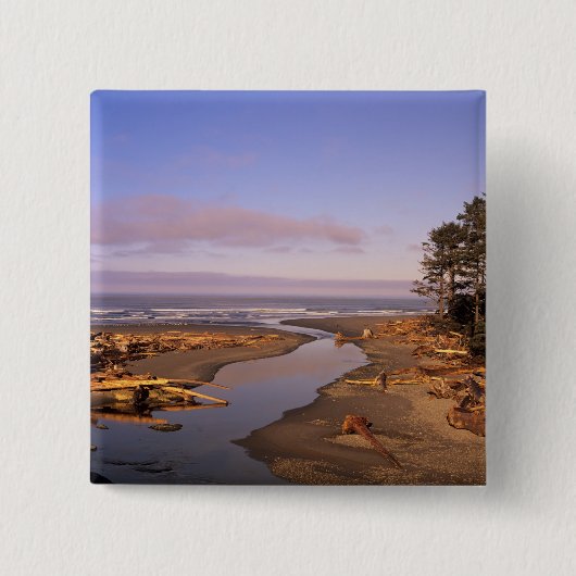 WA, Olympic NP, Kalaloch Beach und Kalaloch Button (Vorderseite)