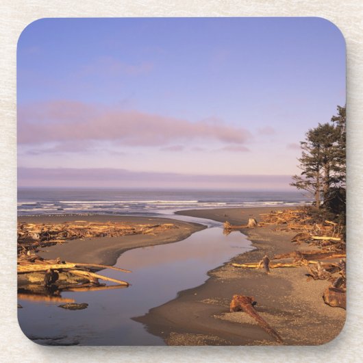 WA, Olympic NP, Kalaloch Beach und Kalaloch Getränkeuntersetzer (Vorderseite)