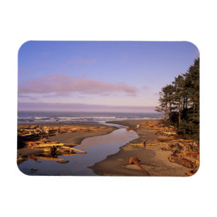WA, Olympic NP, Kalaloch Beach und Kalaloch Magnet