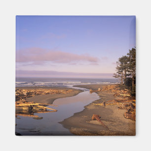 WA, Olympic NP, Kalaloch Beach und Kalaloch Magnet