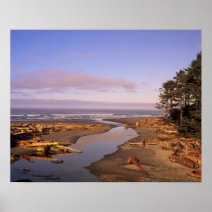WA, Olympic NP, Kalaloch Beach und Kalaloch Poster