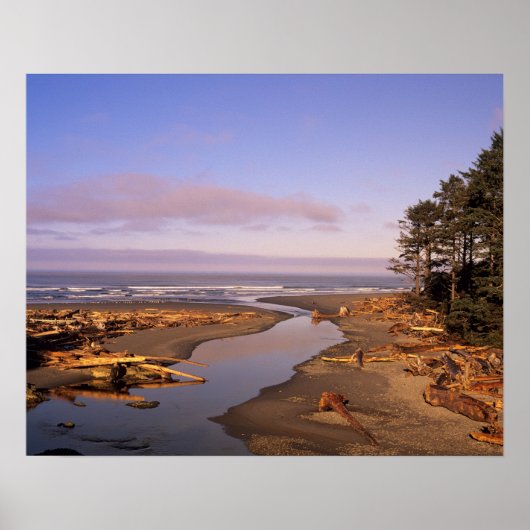 WA, Olympic NP, Kalaloch Beach und Kalaloch Poster (Vorne)