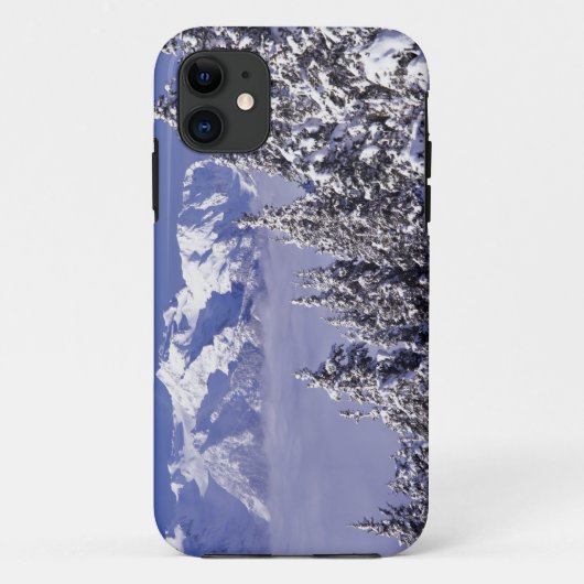 WA, Olympic NP, Olympic Mountain Range, Sicht Case-Mate iPhone Hülle (Rückseite)
