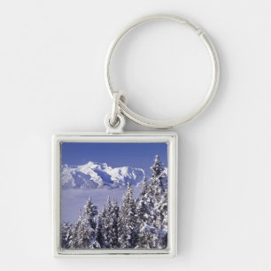 WA, Olympic NP, Olympic Mountain Range, Sicht Schlüsselanhänger