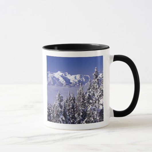 WA, Olympic NP, Olympic Mountain Range, Sicht Tasse (Rechts)