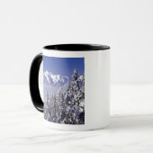 WA, Olympic NP, Olympic Mountain Range, Sicht Tasse (Vorderseite Links)