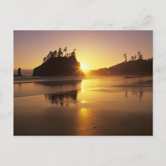 WA, Olympic NP, Second Beach bei Sonnenuntergang Postkarte (Vorderseite)