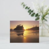 WA, Olympic NP, Second Beach bei Sonnenuntergang Postkarte (Stehend Vorderseite)