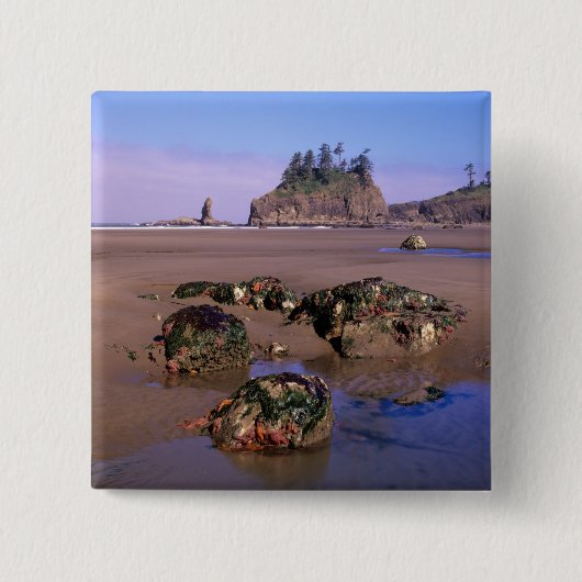 WA, Olympic NP, Second Beach mit Gezeitentümpeln u Button (Vorderseite)