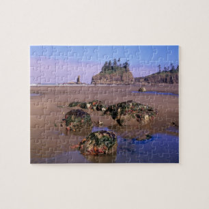 WA, Olympic NP, Second Beach mit Gezeitentümpeln u Puzzle