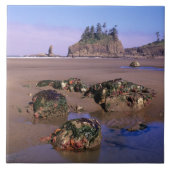 WA, Olympic NP, Second Beach mit Tidepools und Fliese (Vorderseite)