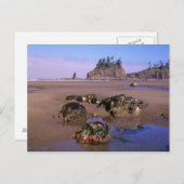 WA, Olympic NP, Second Beach mit Tidepools und Postkarte (Vorne/Hinten)