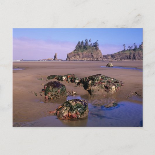 WA, Olympic NP, Second Beach mit Tidepools und Postkarte (Vorderseite)