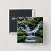 WA, Olympic NP, Sol Duc Valley, Bach mit Button (Vorne & Hinten)