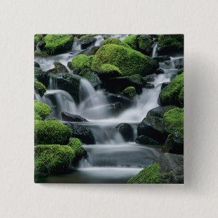 WA, Olympic NP, Sol Duc Valley, Bach mit Button