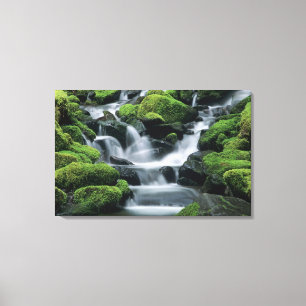 WA, Olympic NP, Sol Duc Valley, Bach mit Leinwanddruck