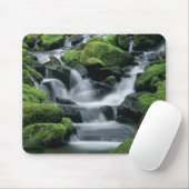 WA, Olympic NP, Sol Duc Valley, Bach mit Mousepad (Mit Mouse)
