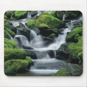 WA, Olympic NP, Sol Duc Valley, Bach mit Mousepad (Vorne)