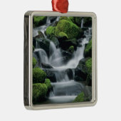 WA, Olympic NP, Sol Duc Valley, Bach mit Silbernes Ornament (Rechts)