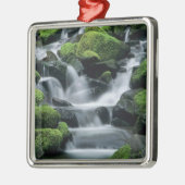 WA, Olympic NP, Sol Duc Valley, Bach mit Silbernes Ornament (Links)
