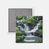 WA, Olympic NP, Sol Duc Valley, Fluss mit Magnet (Vorderseite/Rückseite)