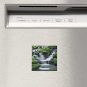 WA, Olympic NP, Sol Duc Valley, Fluss mit Magnet (In Situ (Geschirrspüler))