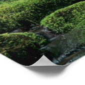 WA, Olympic NP, Sol Duc Valley, Fluss mit Poster (Ecke)