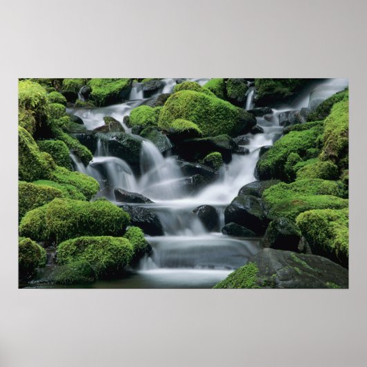 WA, Olympic NP, Sol Duc Valley, Fluss mit Poster (Vorne)