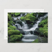 WA, Olympic NP, Sol Duc Valley, Fluss mit Postkarte (Vorne/Hinten)
