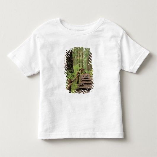 WA, Olympic NP, Sol Duc Valley, Regenwald Kleinkind T-shirt (Vorderseite)